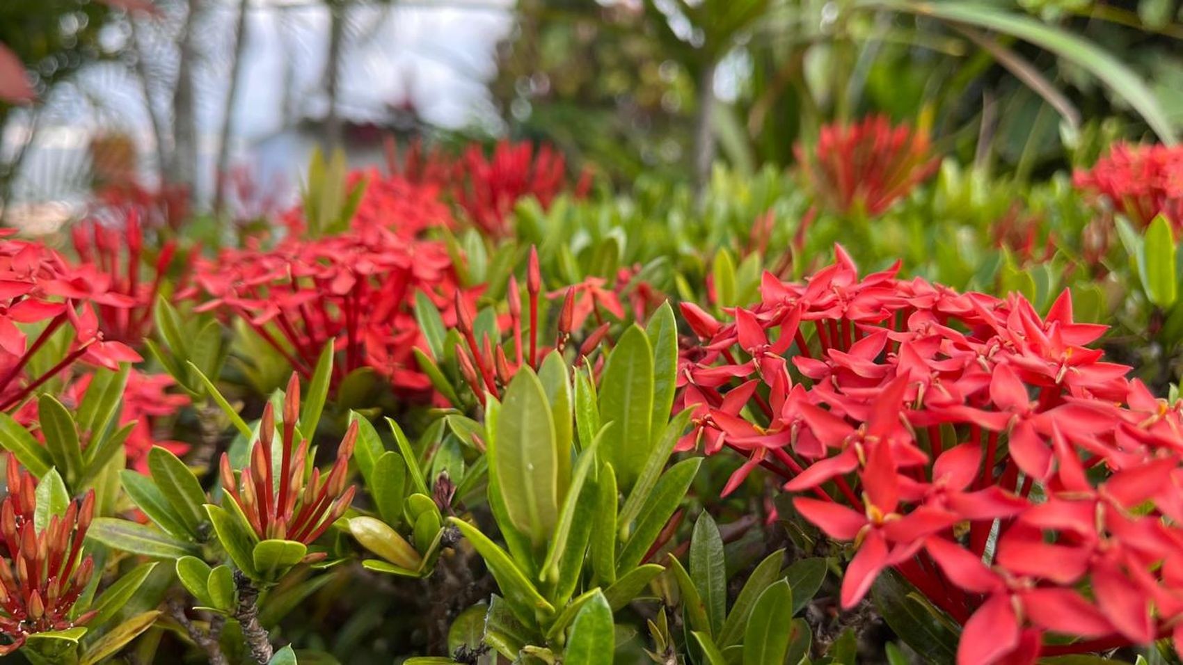 foto Not&iacute;cia Aracaju