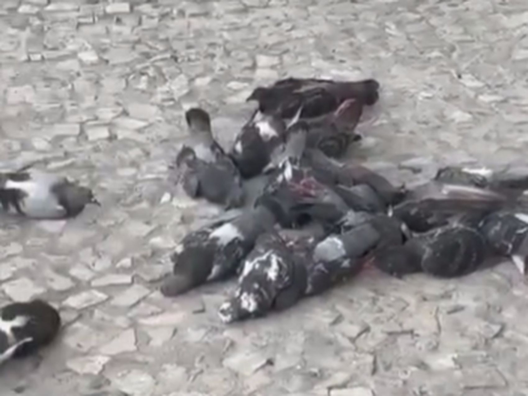 foto Not&iacute;cia Aracaju