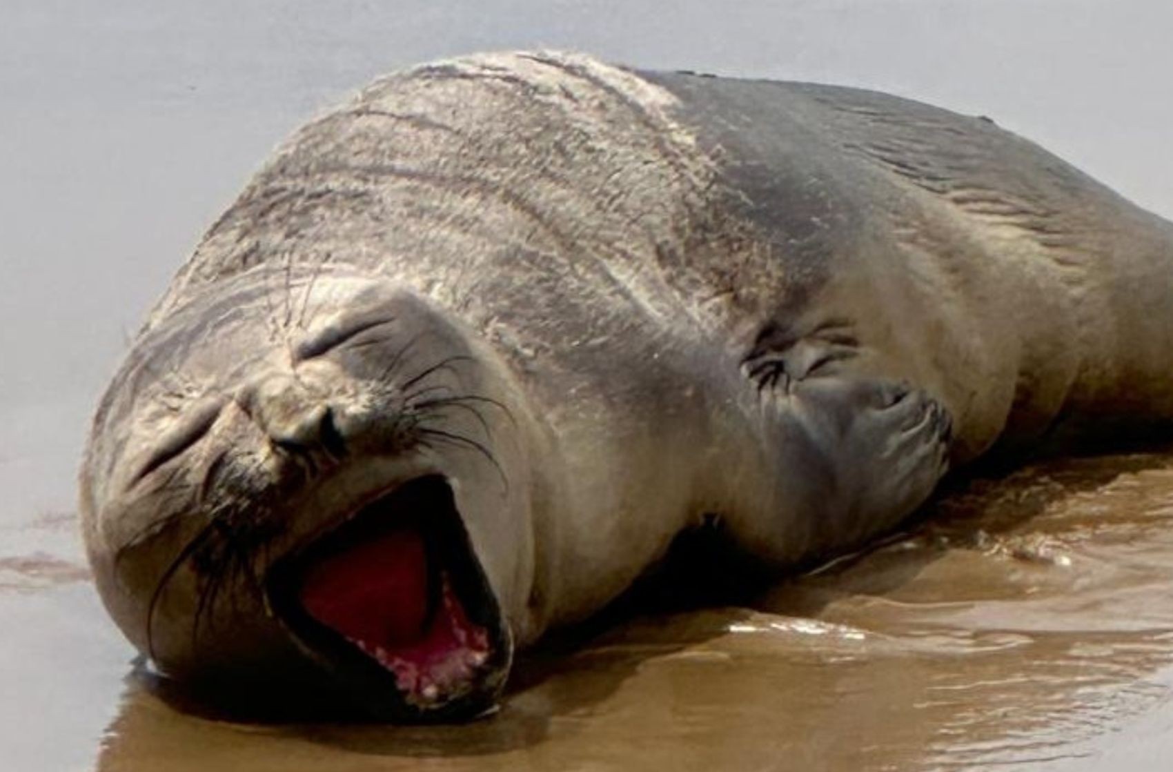 foto Not&iacute;cia Aracaju