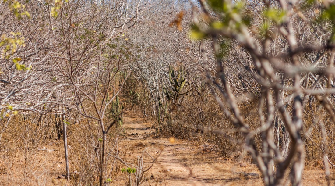 foto Not&iacute;cia Aracaju